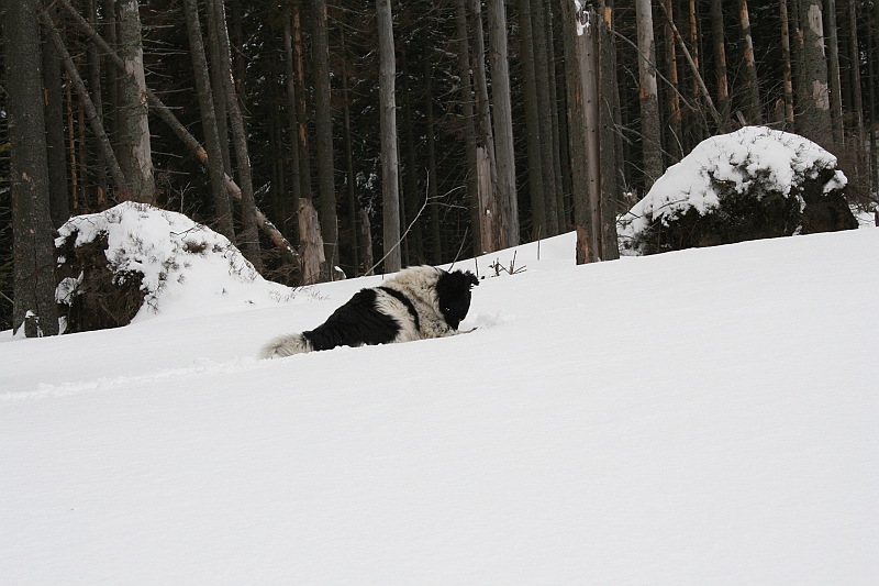 Turbacz 22.03.08 061
